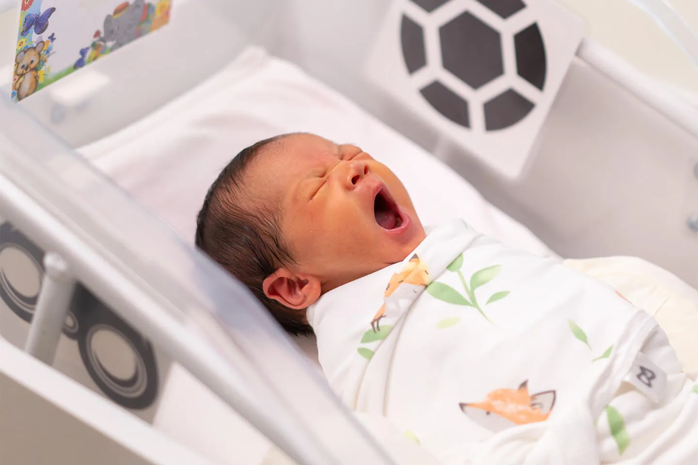 Newborn Baby Care